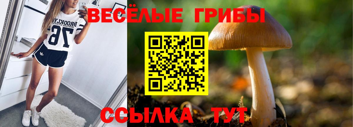 Псилоцибиновые грибы Psilocybe  Псилоцибиновые грибы GOLDEN TEACHER  Подольск  продажа наркотиков  Вход с VPN 