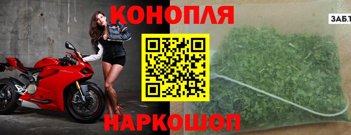 Подольск  Конопля гибрид  Канабис семена  МАРИХУАНА OG Kush  Вход с VPN 